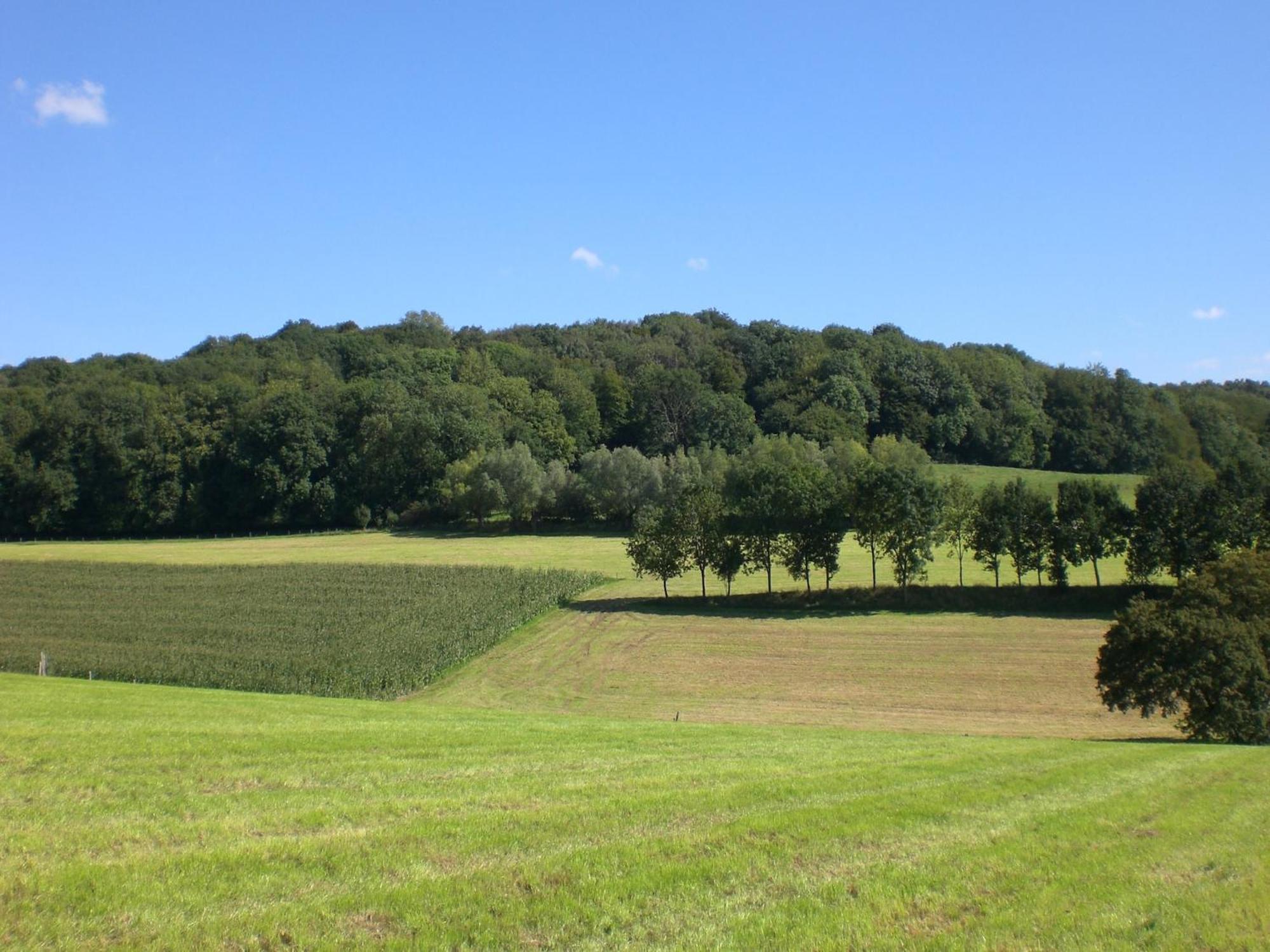 Stunning Holiday Home Near Forest In Slenaken Bagian luar foto